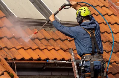 Démoussage et hydrofuge de toiture à Royas